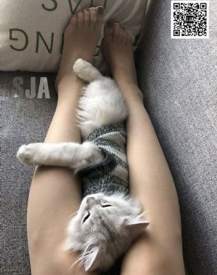 男女啪啪啪_超清在线视频播放